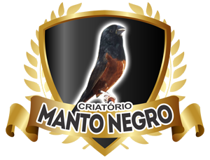 Vídeos | Criatório Manto Negro - Curió de Fibra - Dourados/MS